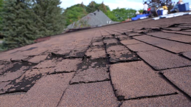 Best Wood Shake Roofing  in Patterson, CA